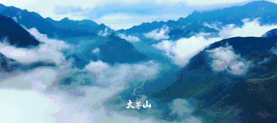 可疑的情况